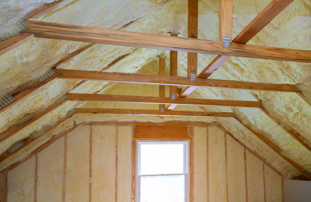 Best Spray Foam Insulation in Felton, DE