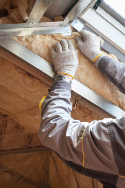 Best Geographic-Specific Insulation Services in Felton, DE