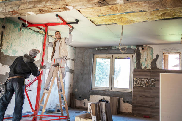 Best Insulation Maintenance and Repair in Felton, DE
