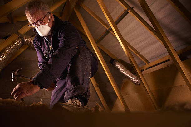 Types of Insulation We Offer in Felton, DE